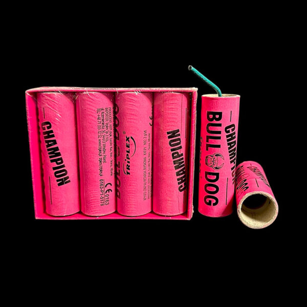 Firecracker CHAMPION BULLDOG 2G